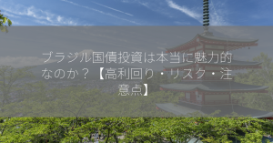 ブラジル国債投資は本当に魅力的なのか？【高利回り・リスク・注意点】